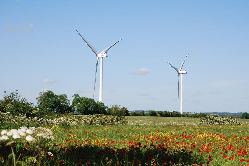Environmentally Friendly Tips